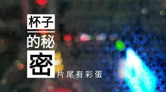 德州饭店爆料视频播放  第3张